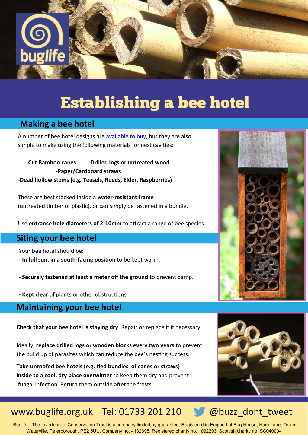 Bee Hotel? Making a Bee Hotel a Number of Bee Hotel Designs Are Available to Buy, but They Are Also Simple to Make Using the Following Materials for Nest Cavities