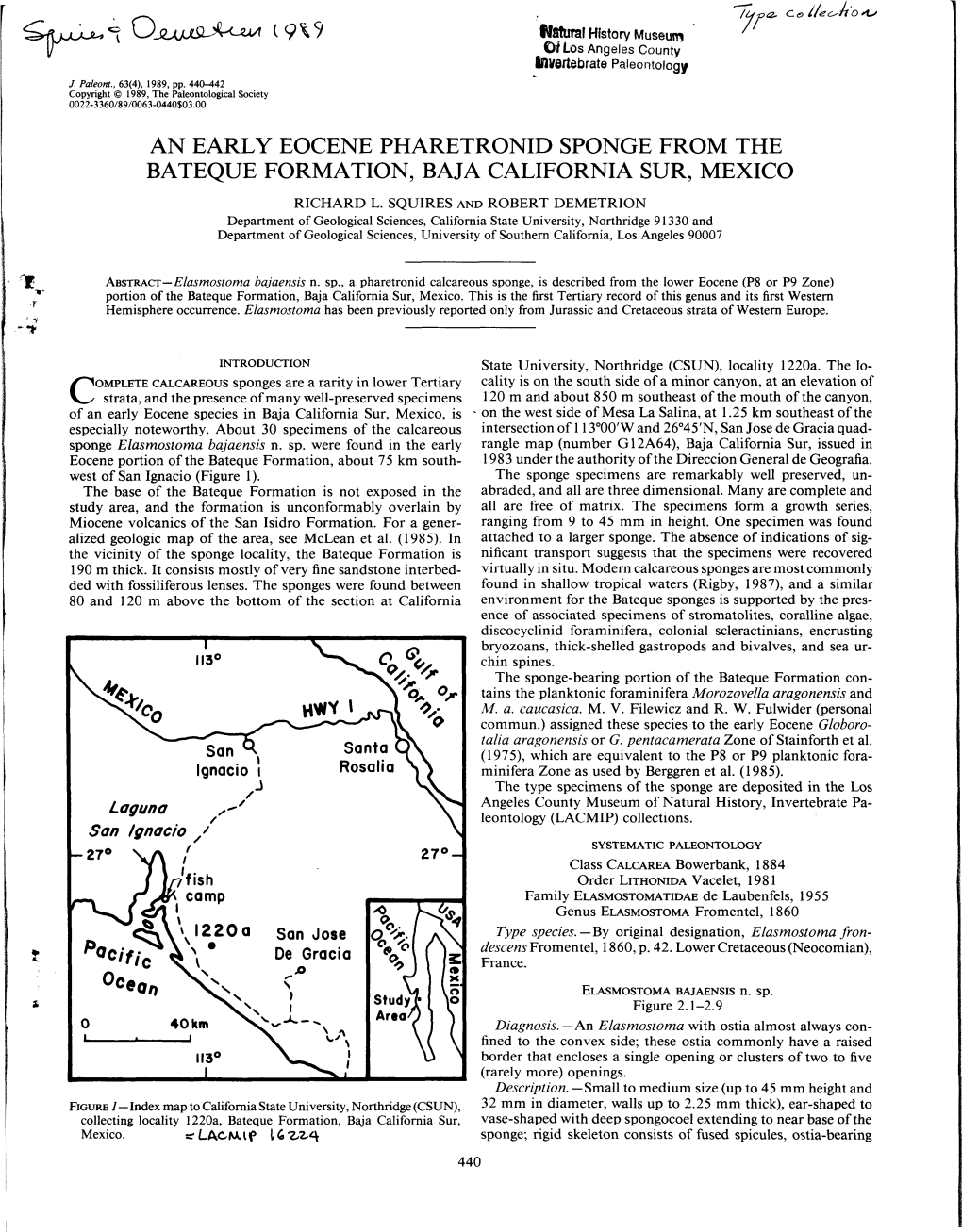 An Early Eocene Pharetronid Sponge from the Bateque Formation, Baja California Sur, Mexico Richard L