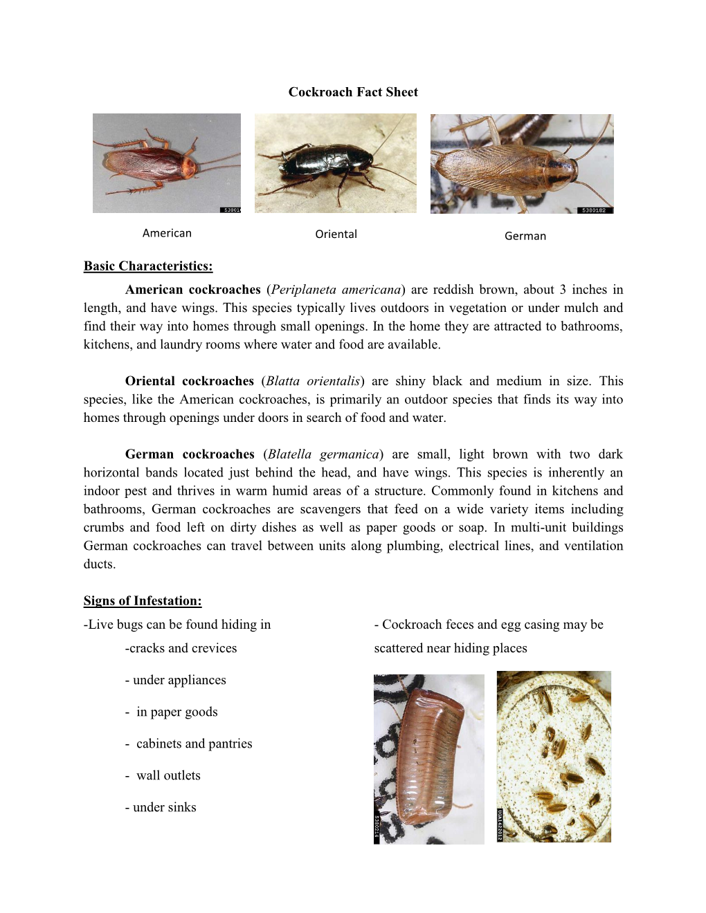 Cockroach Fact Sheet Basic Characteristics