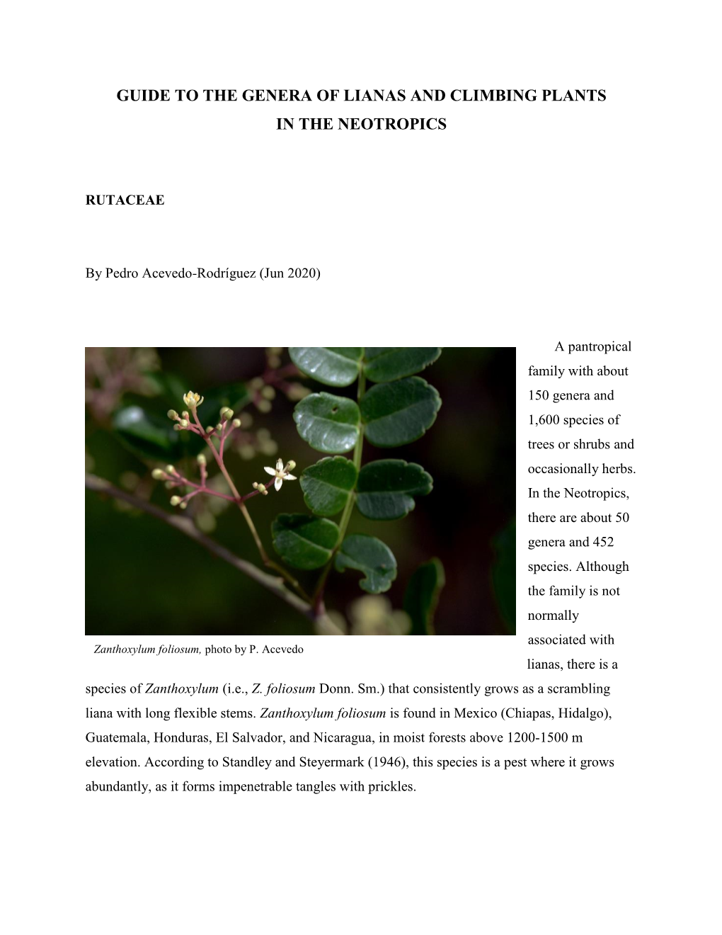 Lianas and Climbing Plants of the Neotropics: Rutaceae