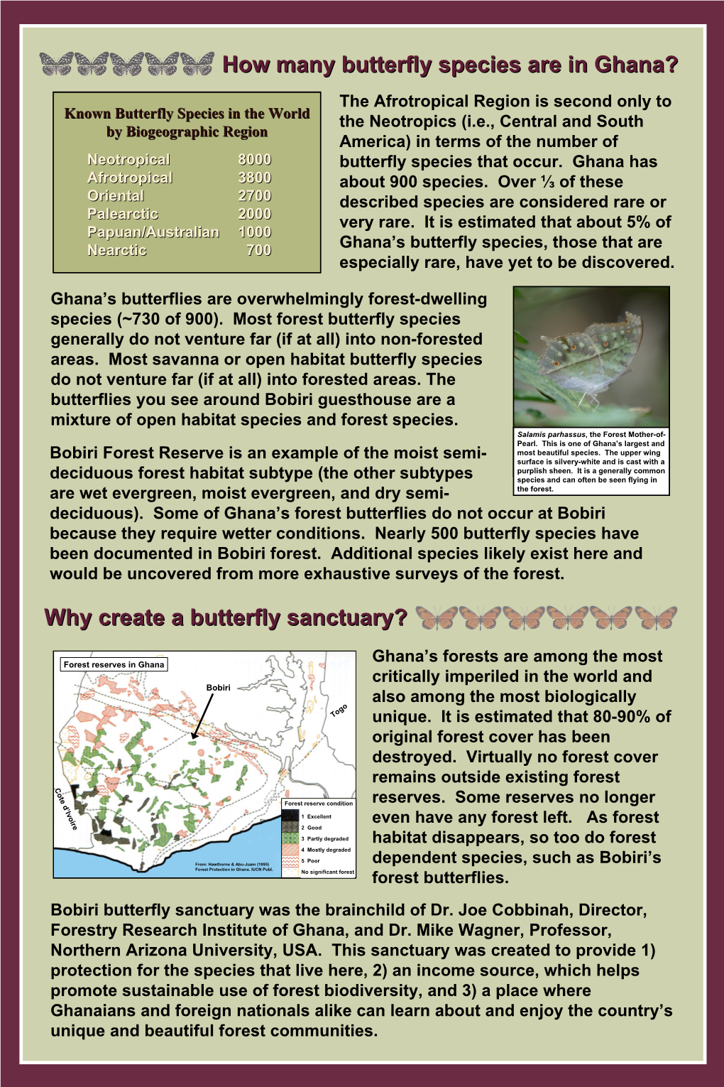 How Many Butterfly Species Are in Ghana?