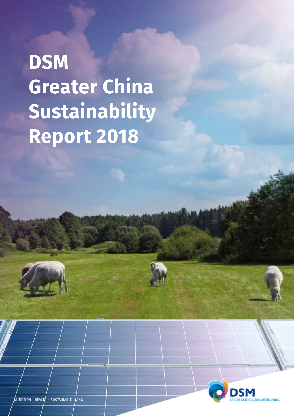 DSM Greater China Sustainability Report 2018 DSM Greater China Sustainability Report 2018 DSM at a Glance