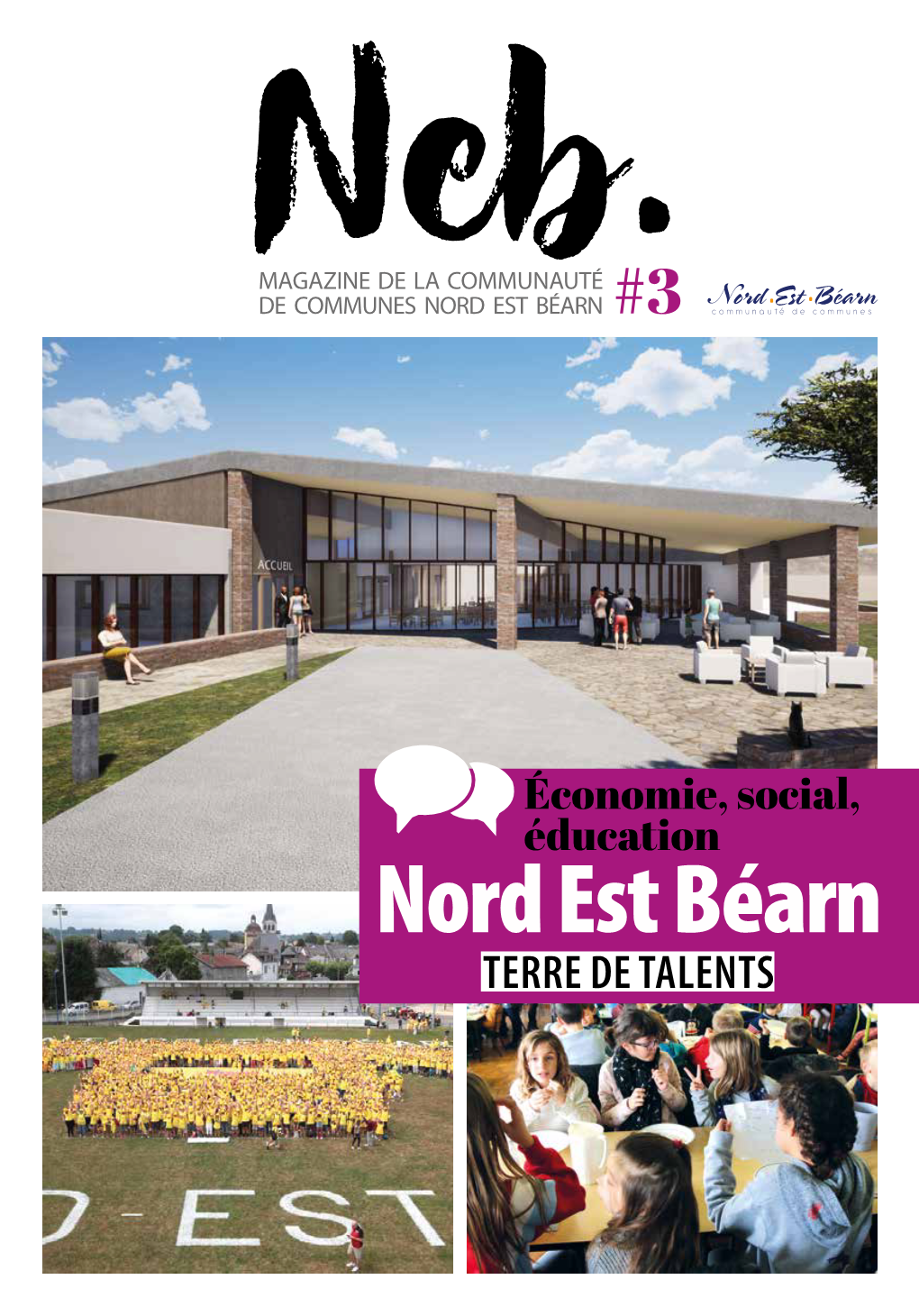 Magazinedelaccneb 3.Pdf