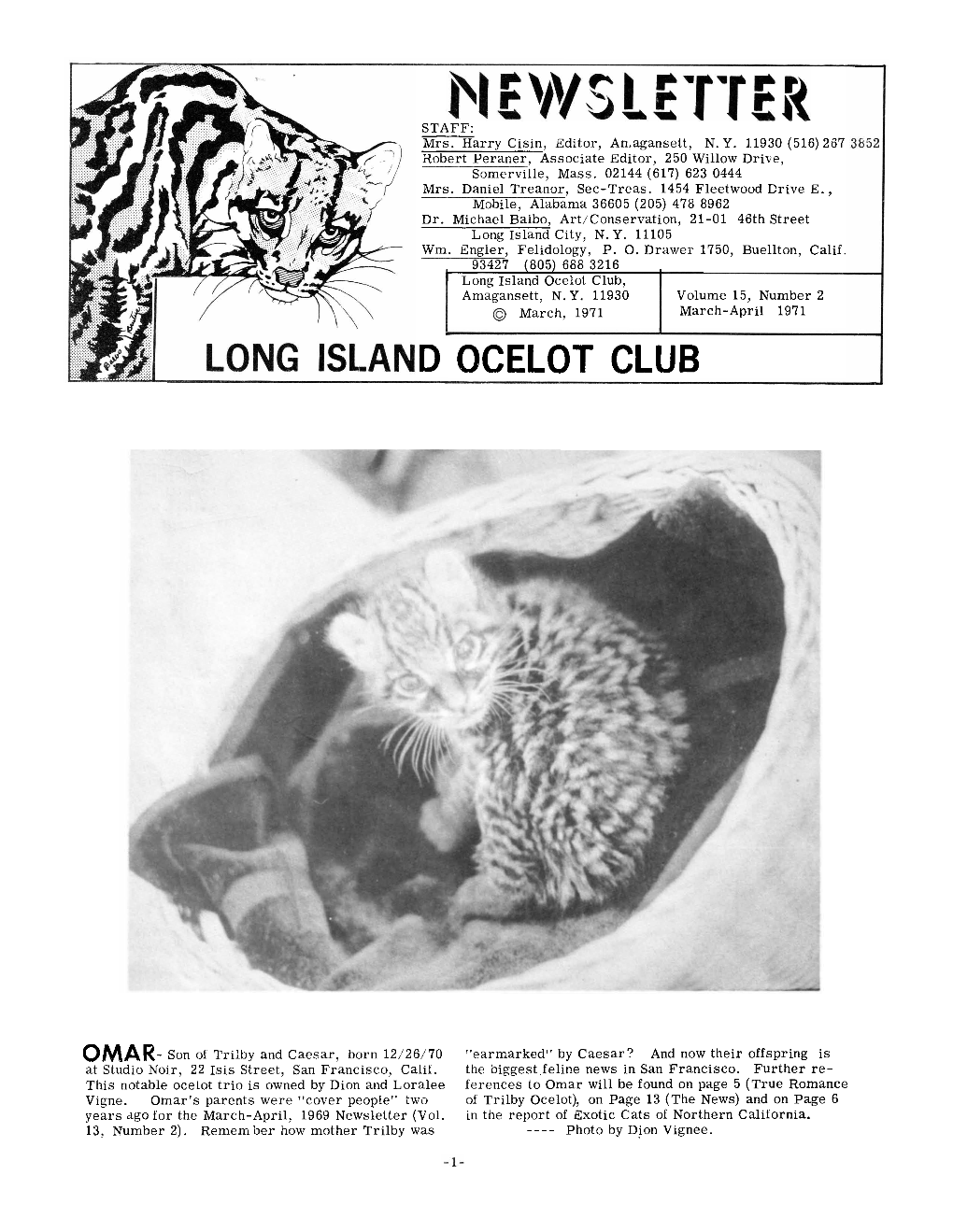 D Ocelot Club