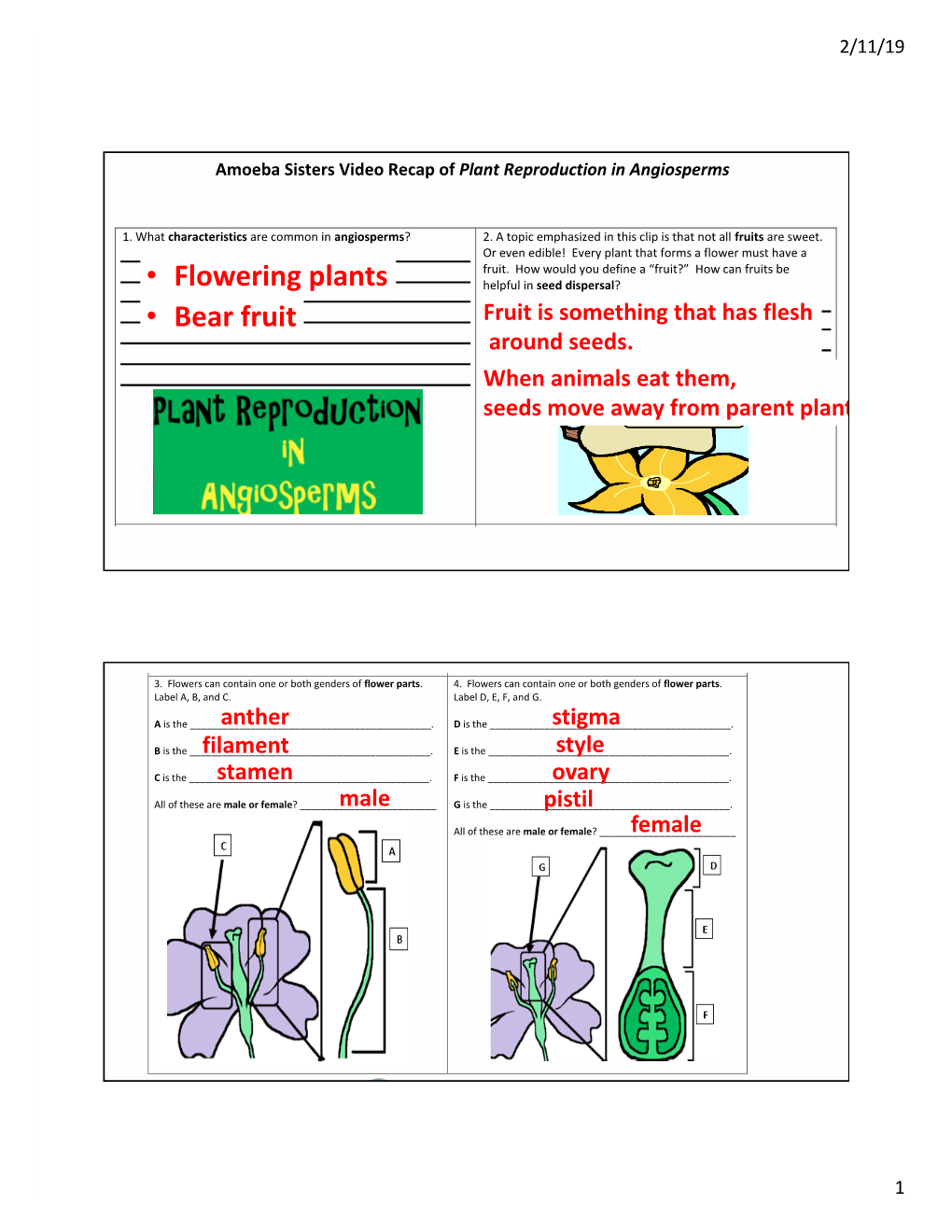 AS Flower Reproduction