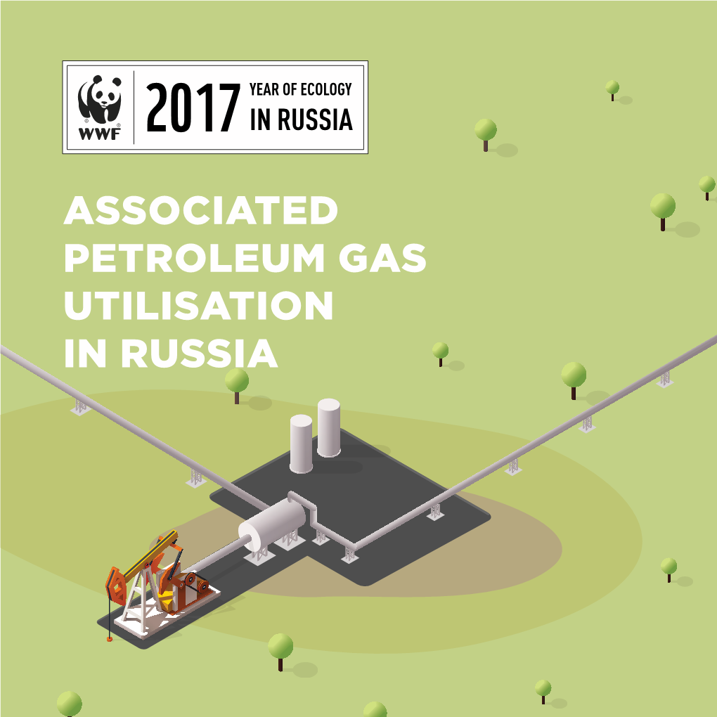 Associated Petroleum Gas Utilisation in Russia