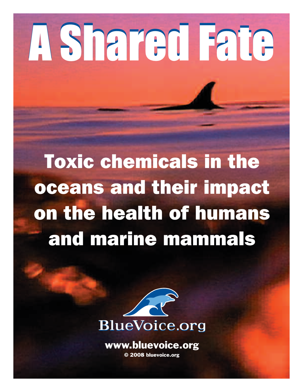 Toxic Chemicals in the Oceans and Their Impact on the Health of Humans and Marine Mammals