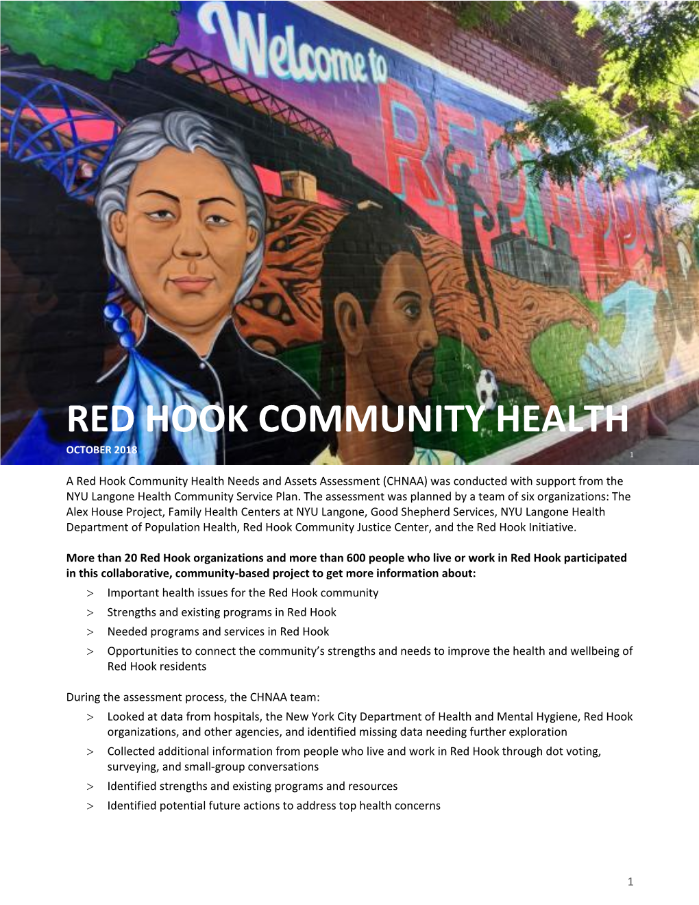 Red Hook Community Health October 2018