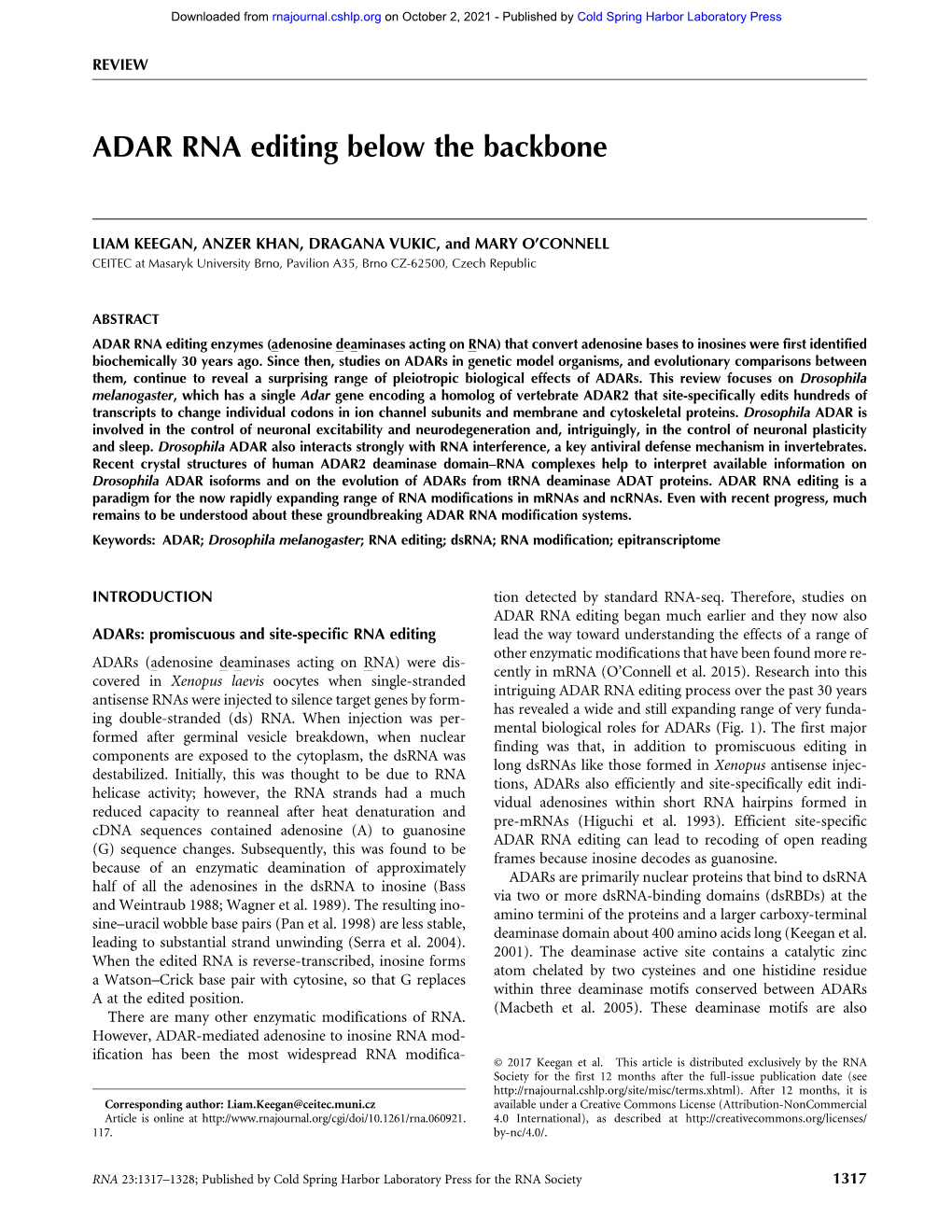 ADAR RNA Editing Below the Backbone