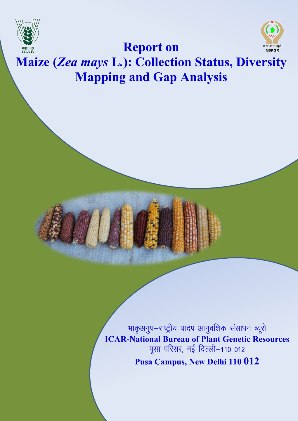 Report on Maize (Zea Mays L.): Collection Status, Diversity Mapping and Gap Analysis