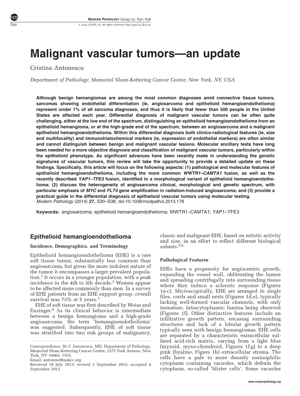 Malignant Vascular Tumors&Mdash