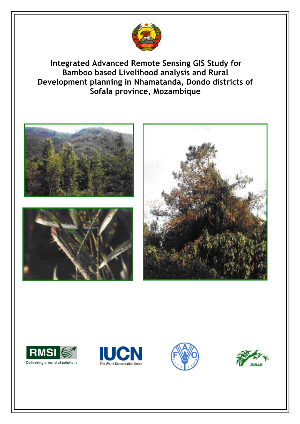 Integrated Advanced Remote Sensing GIS Study for Bamboo Based Livelihood Analysis and Rural Development Planning in Nhamatanda