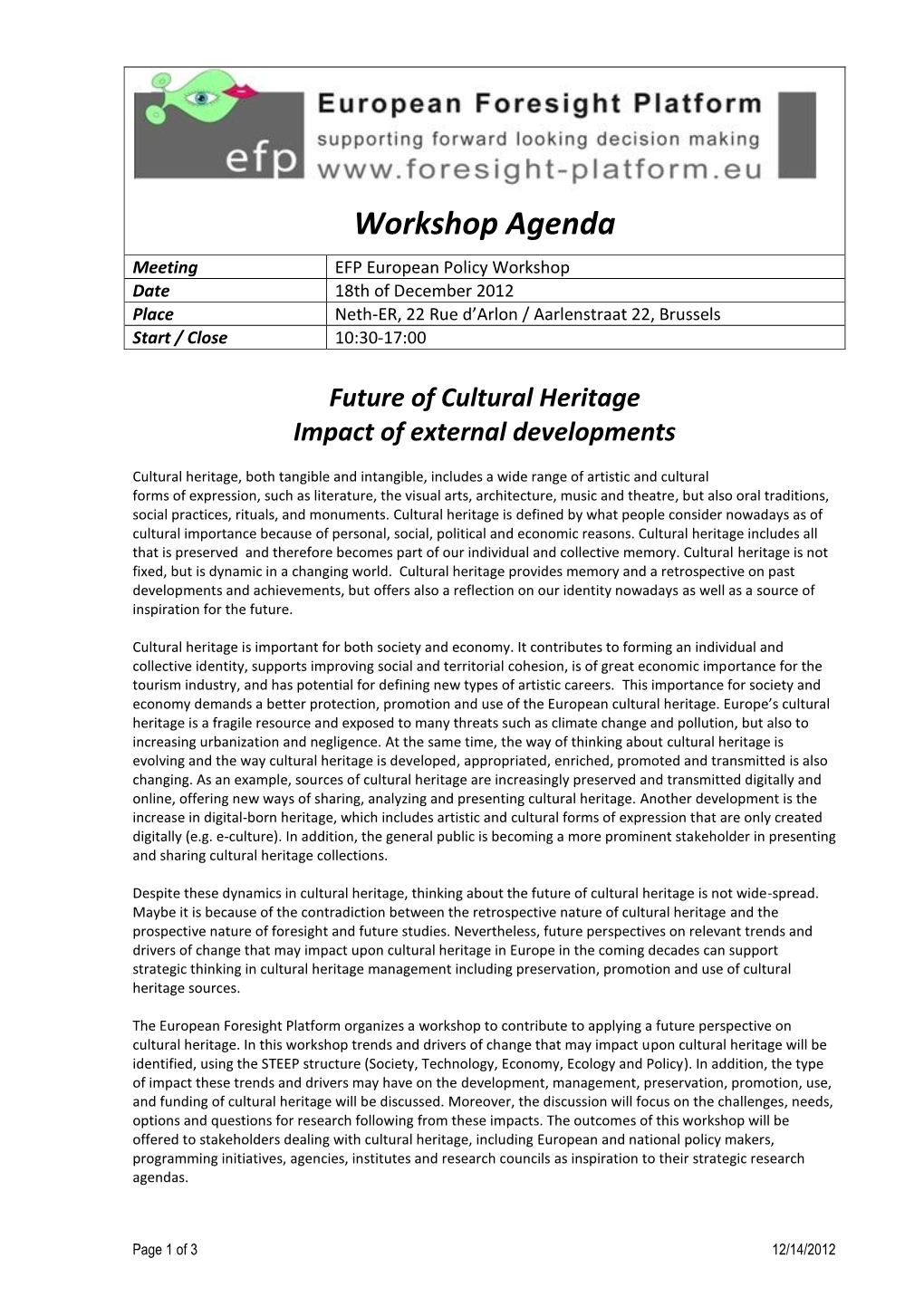 EFP Workshop Future of Cultural Heritage Paper