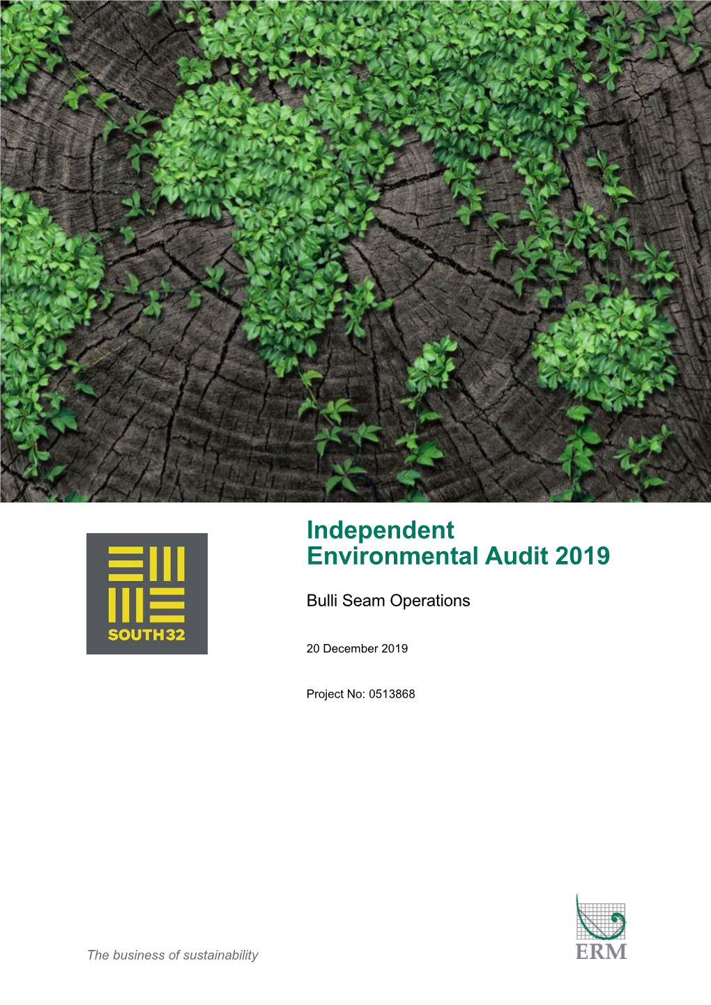 Independent Environmental Audit 2019