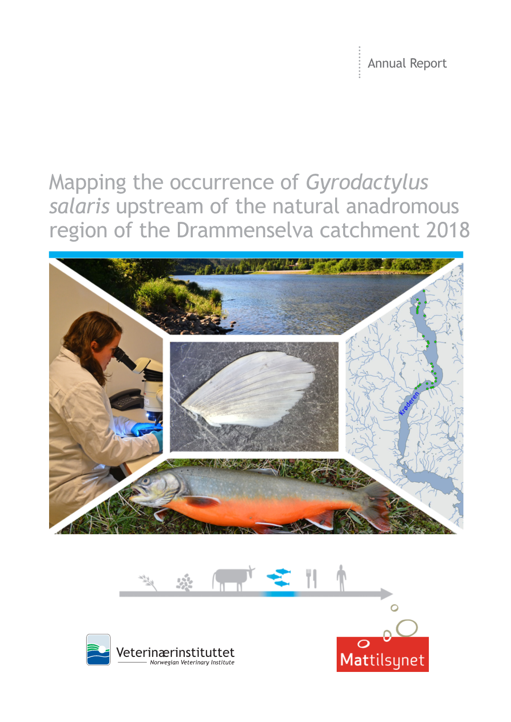 Mapping the Occurrence of Gyrodactylus Salaris Upstream of the Natural Anadromous Region of the Drammenselva Catchment 2018 NORWEGIAN VETERINARY INSTITUTE