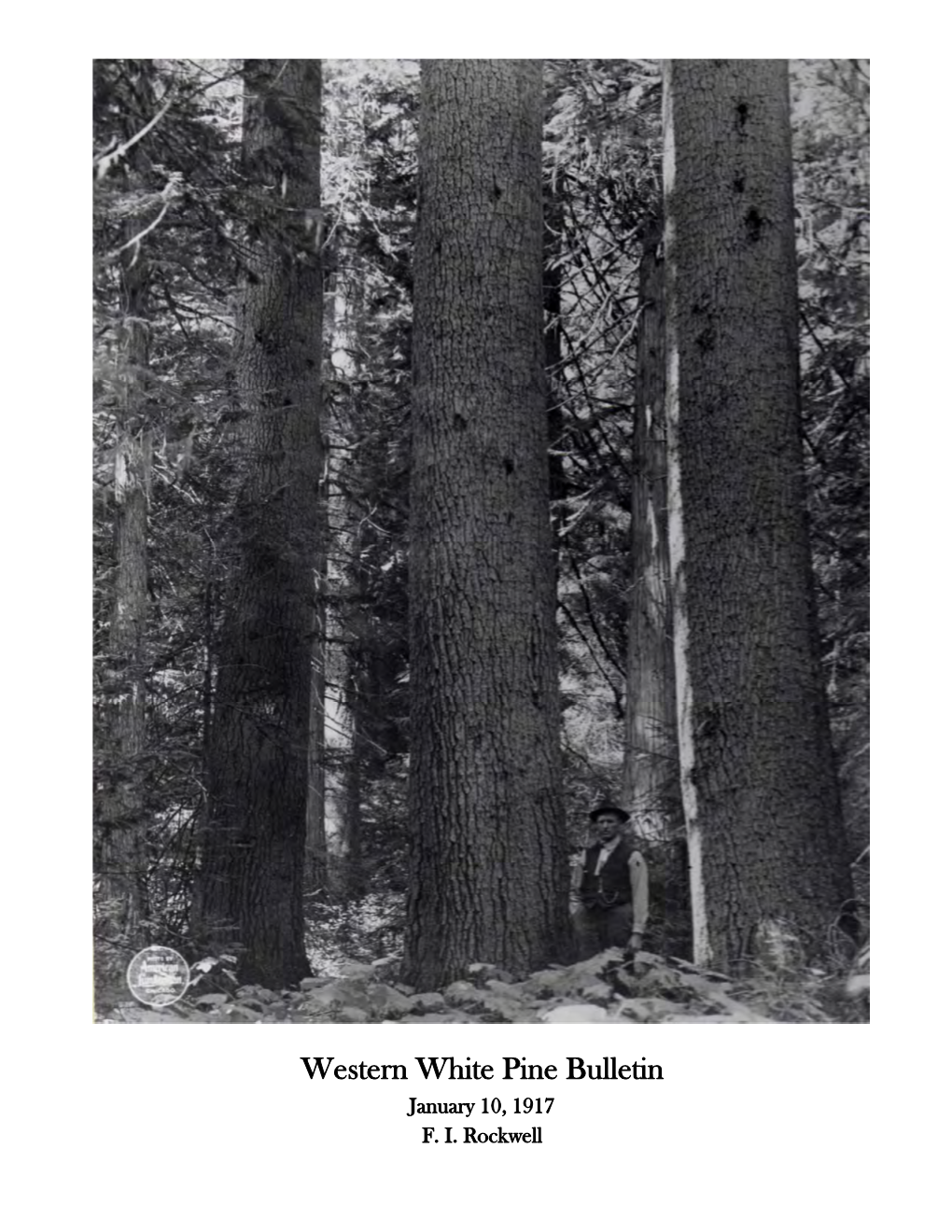 Western White Pine Bulletin January 10, 1917 F