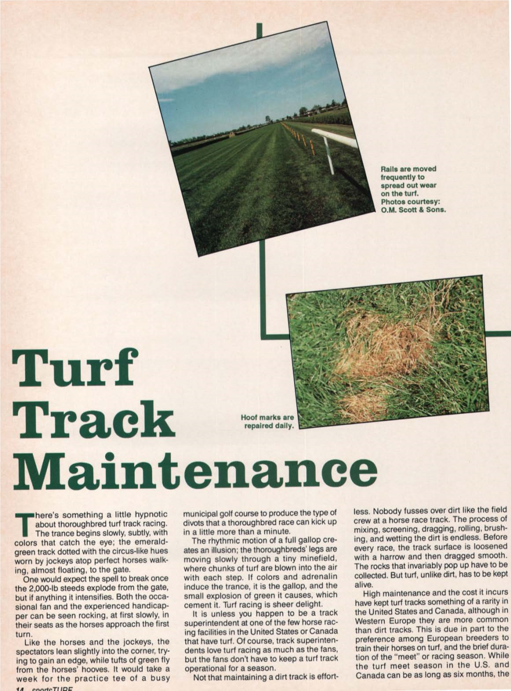 Turf Track Maintenance