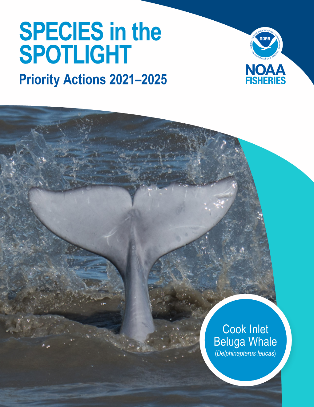 Species in the Spotlight—Cook Inlet Beluga