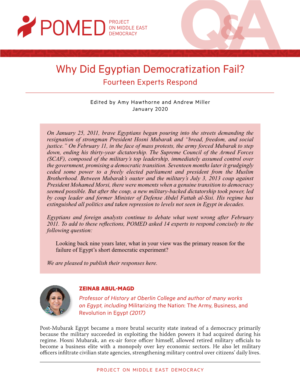 Why Did Egyptian Democratization Fail? Fourteen Experts Respond