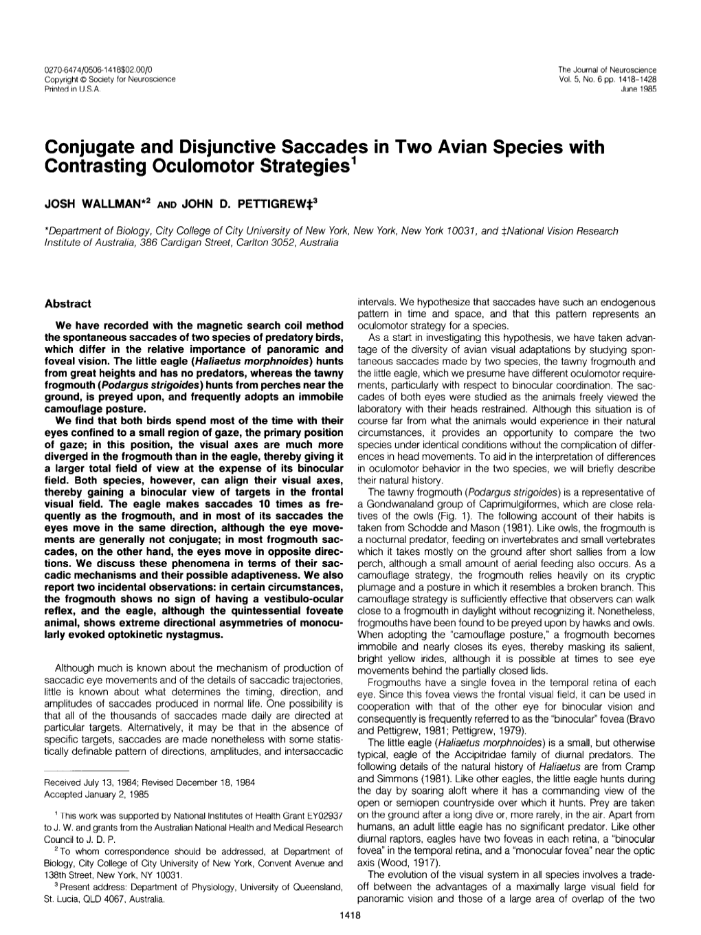 Conjugate and Disjunctive Saccades in Contrasting Oculomotor