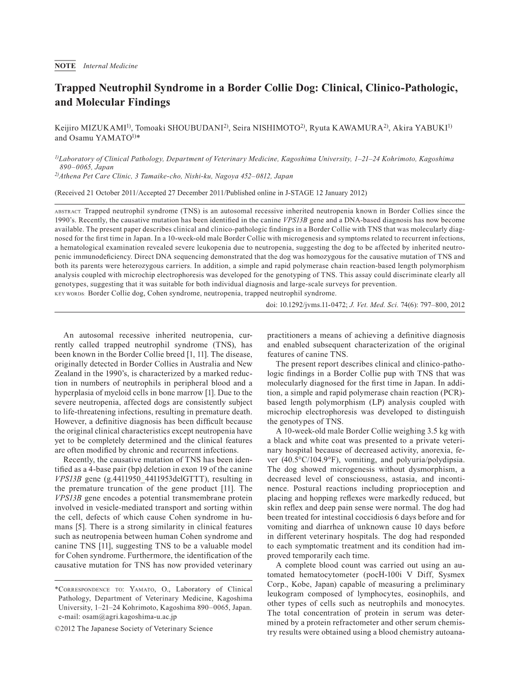 Trapped Neutrophil Syndrome in a Border Collie Dog: Clinical, Clinico-Pathologic, and Molecular Findings