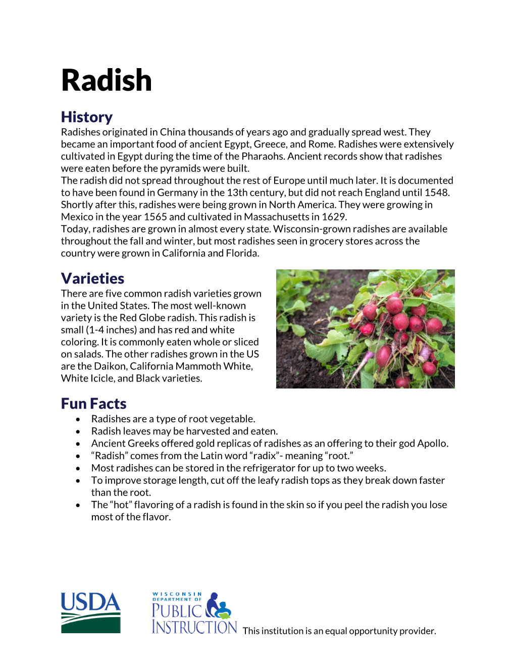 Radish History Radishes Originated in China Thousands of Years Ago and Gradually Spread West