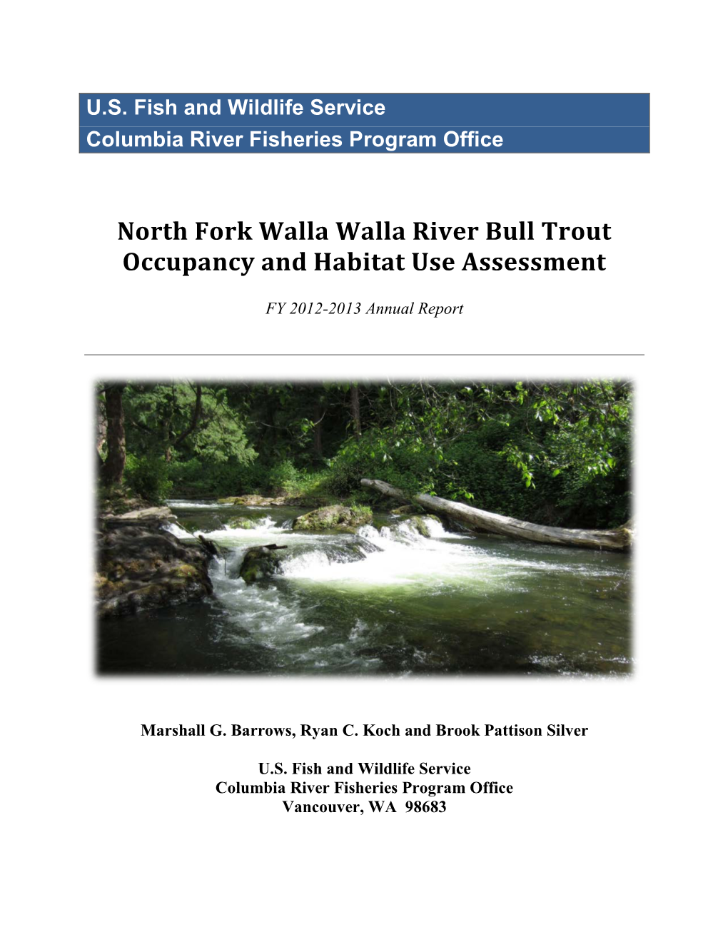 North Fork Walla Walla River Bull Trout Patch Occupancy and Habitat