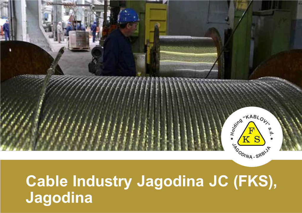 Cable Industry Jagodina JC (FKS), Jagodina General Information