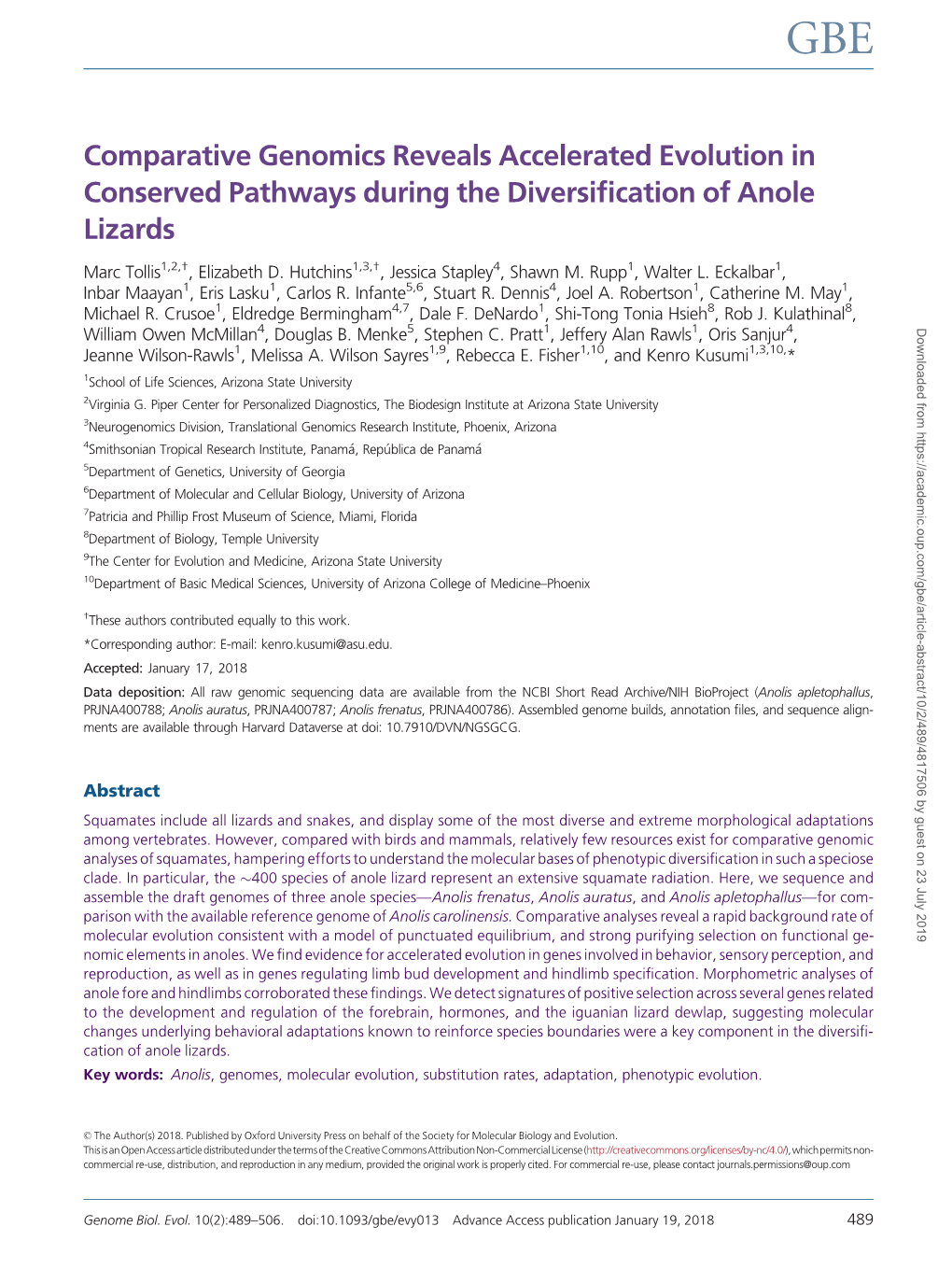 Comparative Genomics Reveals Accelerated Evolution in Conserved Pathways During the Diversiﬁcation of Anole Lizards