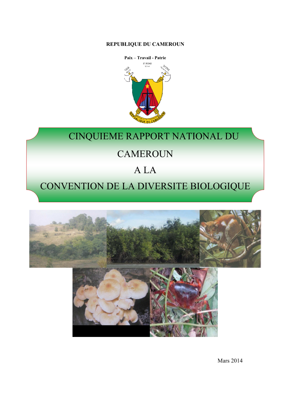 Cameroonnbsap@Yahoo.Com O Cc