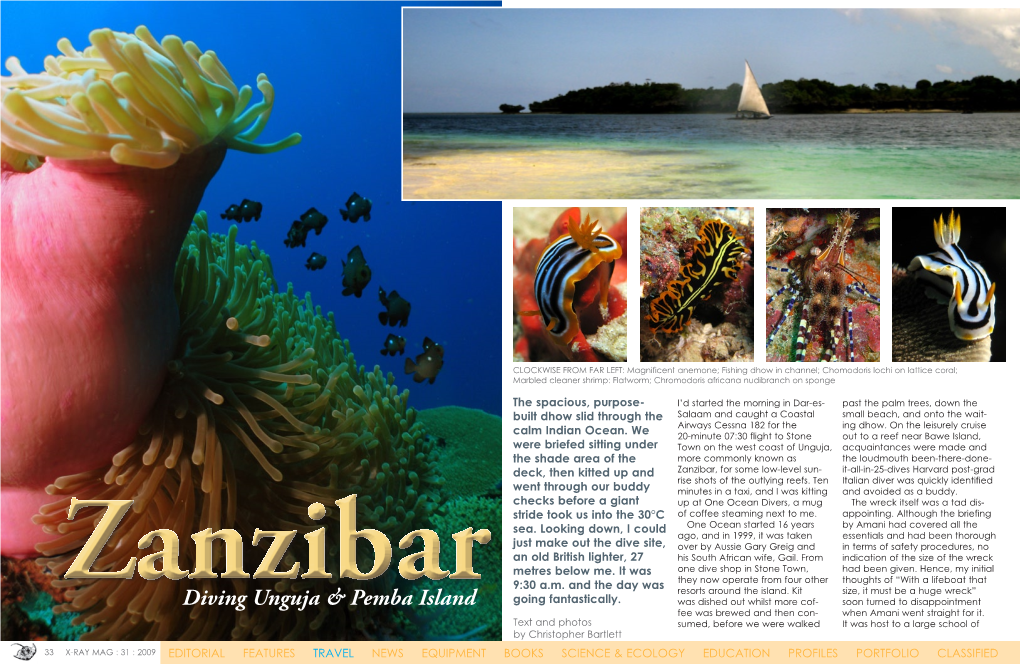 Zanzibar, for Some Low-Level Sun- It-All-In-25-Dives Harvard Post-Grad Rise Shots of the Outlying Reefs