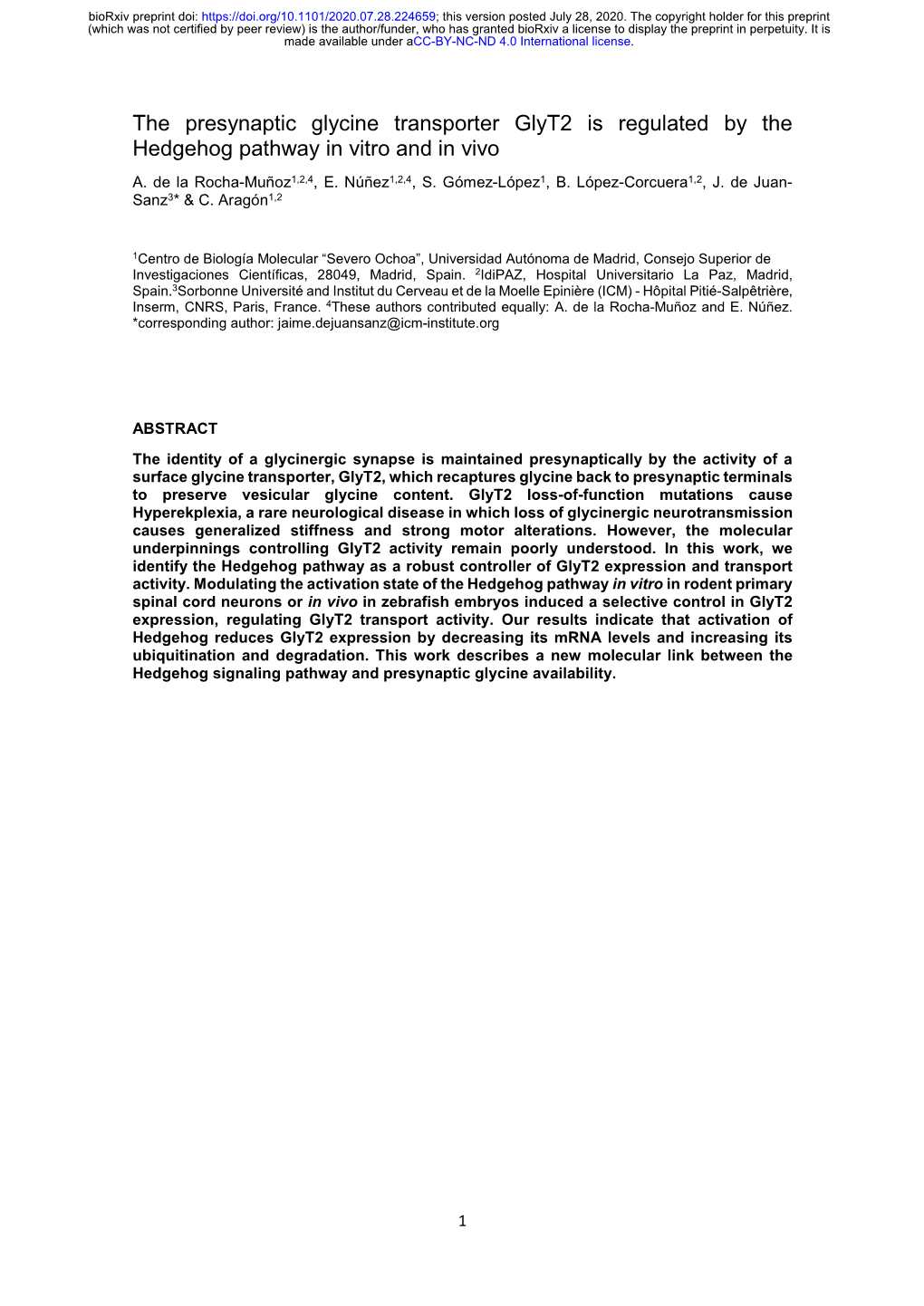 The Presynaptic Glycine Transporter Glyt2 Is Regulated by the Hedgehog Pathway in Vitro and in Vivo A