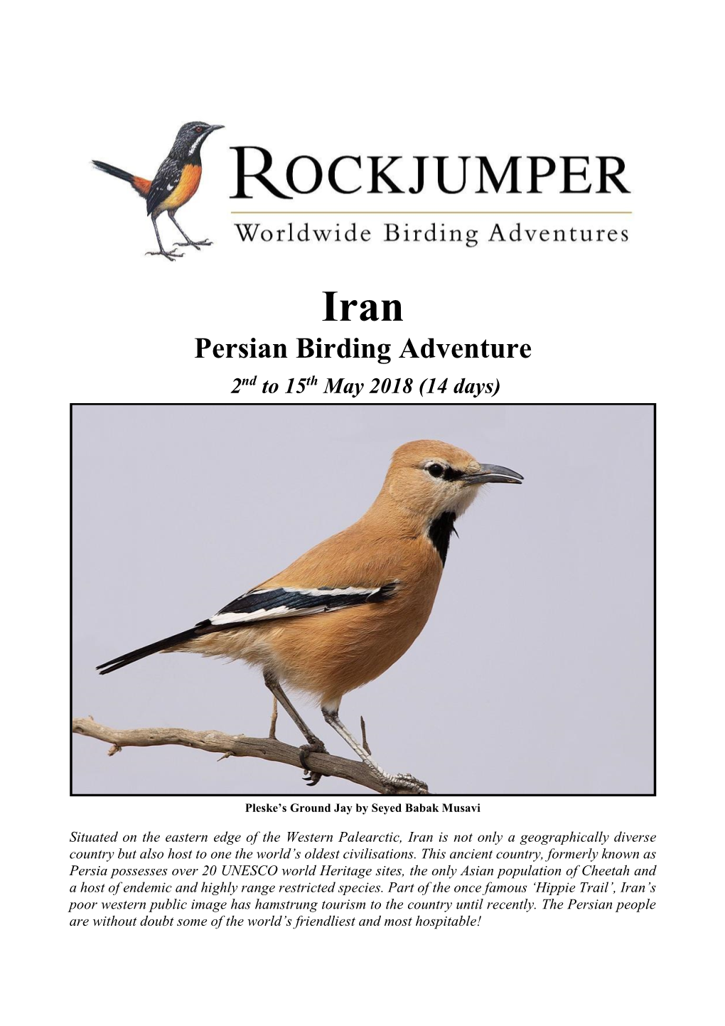 Persian Birding Adventure