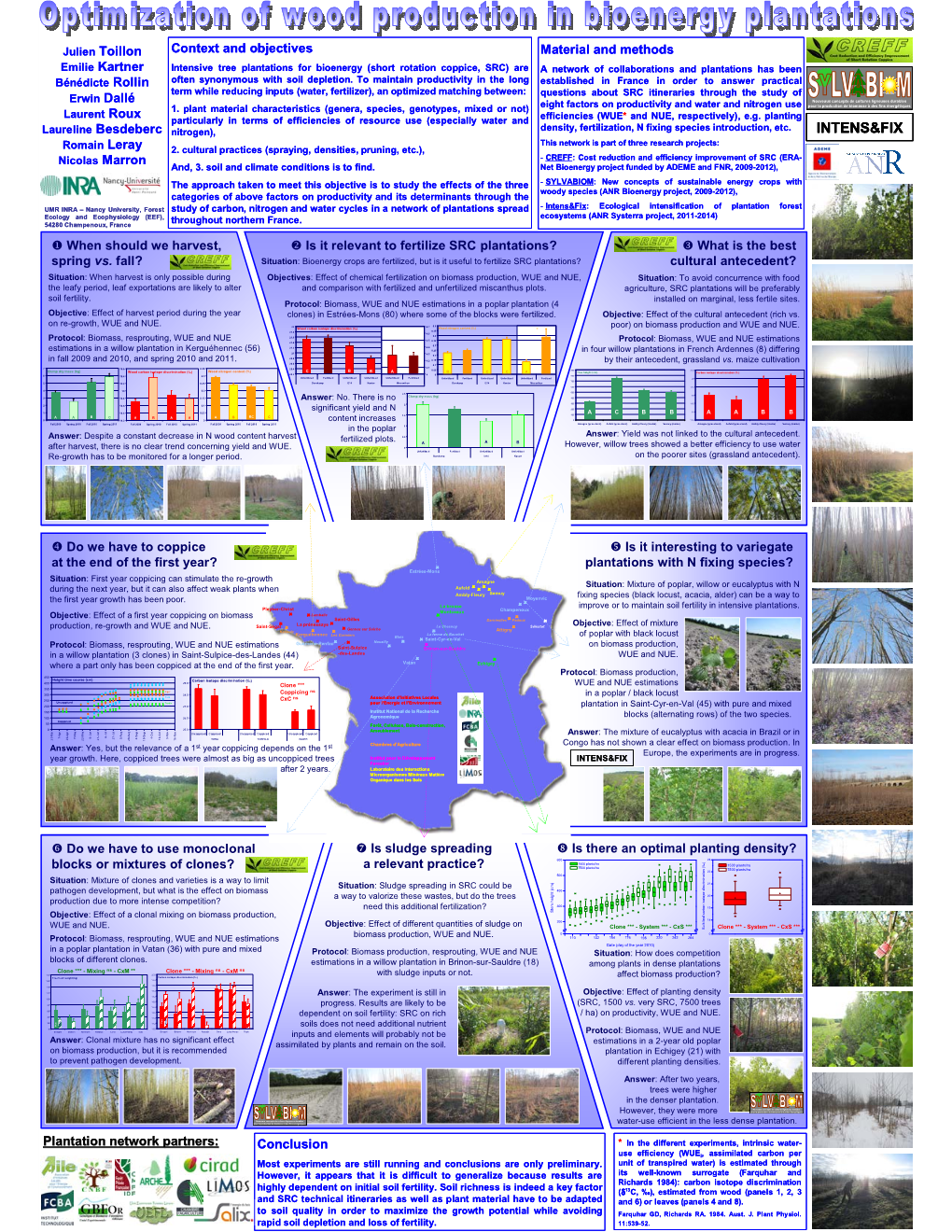 Optimization of Wood Production In