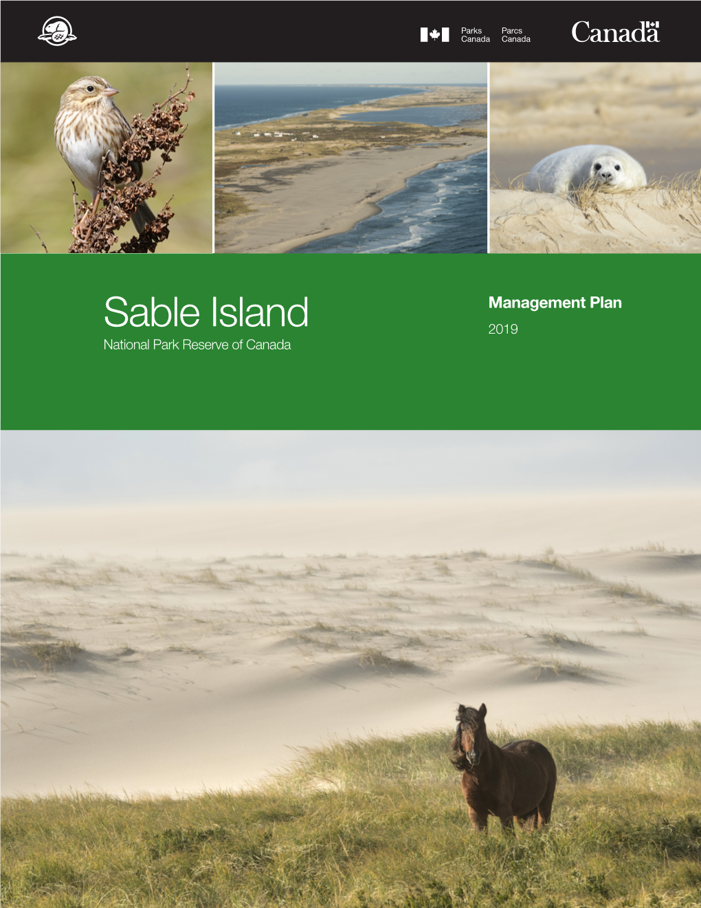 Sable Island National Park Reserve of Canada Management Plan, 2019