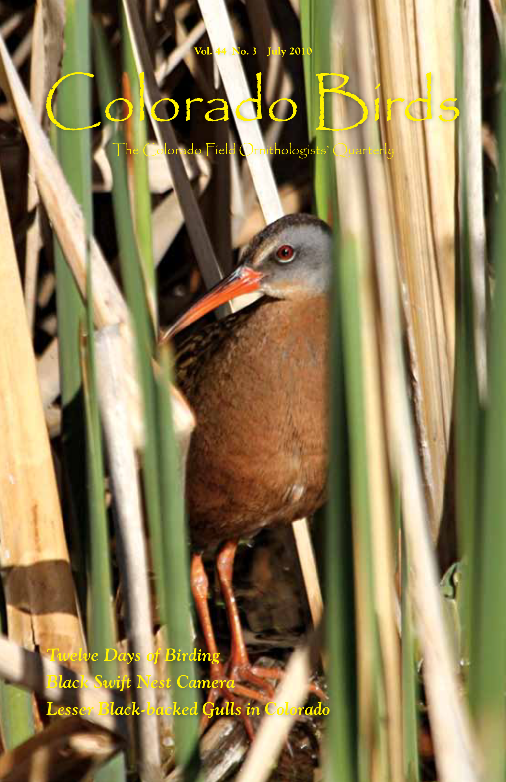 Colorado Birds the Colorado Field Ornithologists’ Quarterly