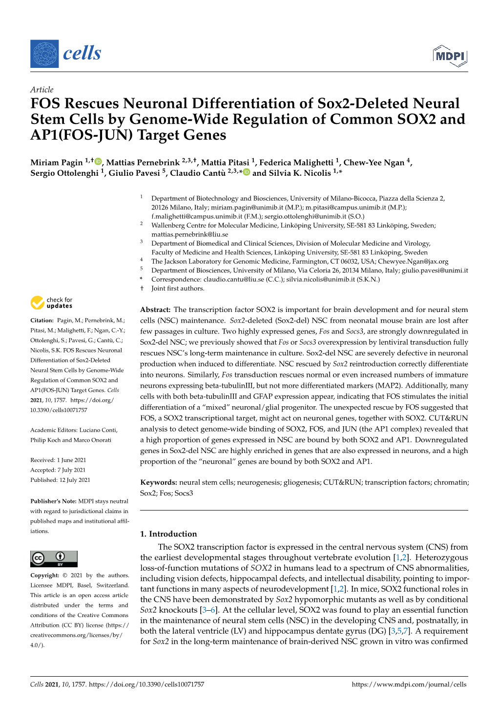 FOS Rescues Neuronal Differentiation of Sox2-Deleted Neural Stem Cells by Genome-Wide Regulation of Common SOX2 and AP1(FOS-JUN) Target Genes