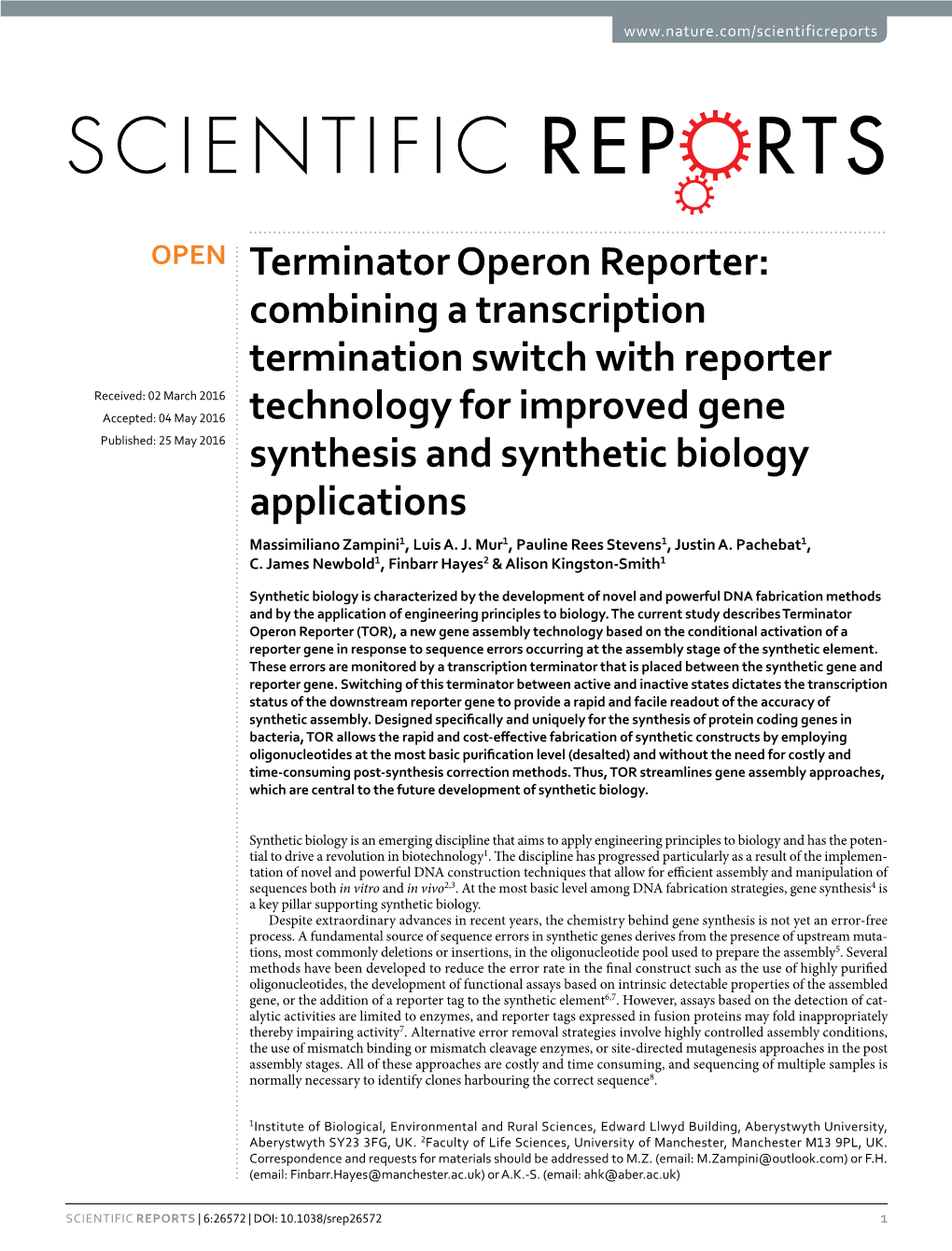 Terminator Operon Reporter: Combining a Transcription Termination Switch with Reporter Technology for Improved Gene Synthesis and Synthetic Biology Applications