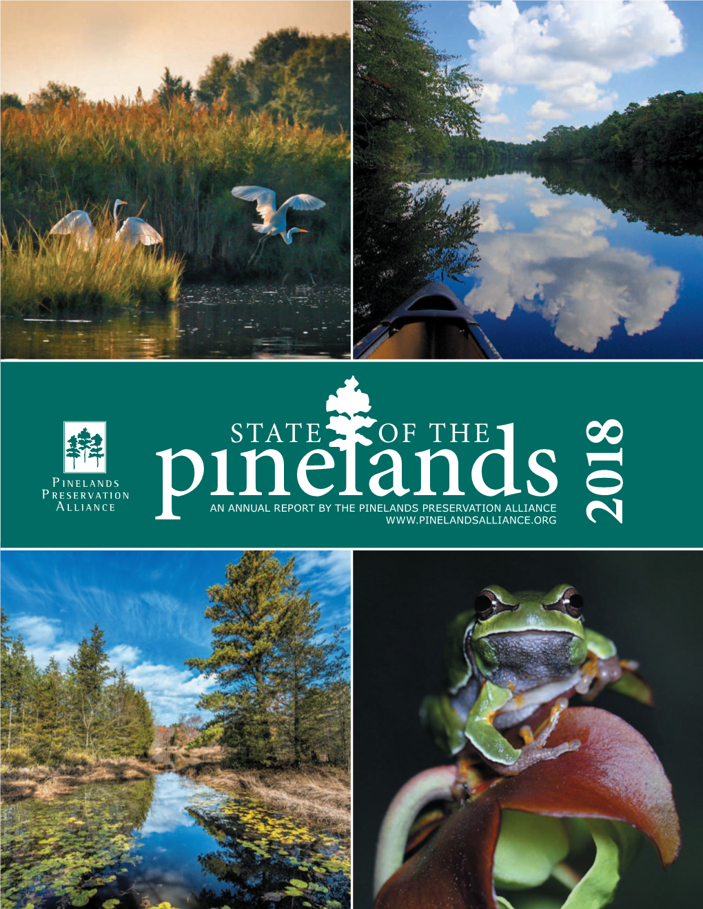 The New Jersey Pinelands