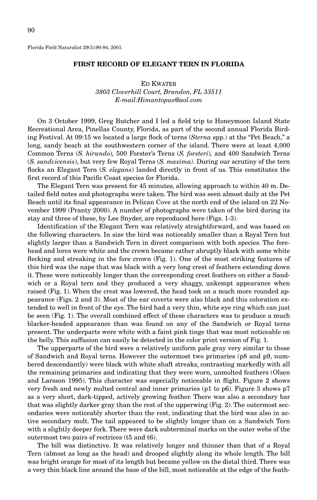 90 FIRST RECORD of ELEGANT TERN in FLORIDA 3803 Cloverhill Court, Brandon, FL 33511 E-Mail:Himantopus@Aol.Com on 3 October 1999