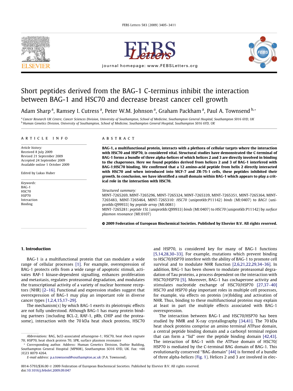 Short Peptides Derived from the BAG-1 C-Terminus Inhibit the Interaction Between BAG-1 and HSC70 and Decrease Breast Cancer Cell Growth