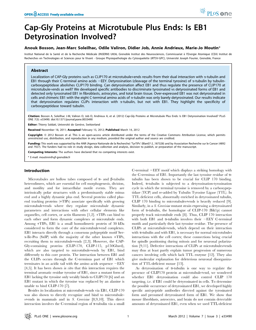 Cap-Gly Proteins at Microtubule Plus Ends: Is EB1 Detyrosination Involved?