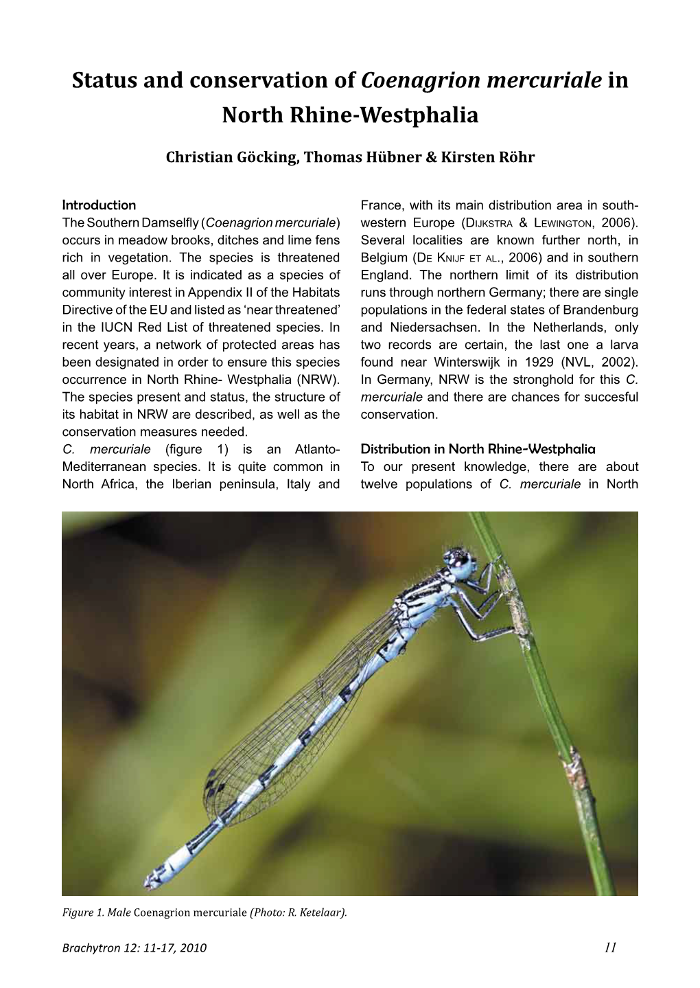 Status and Conservation of Coenagrion Mercuriale in North Rhine-Westphalia