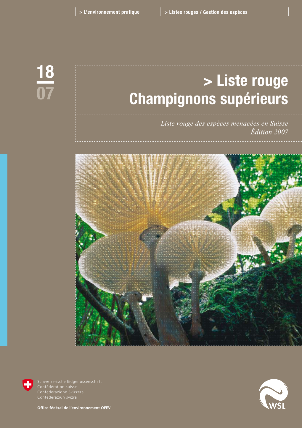 Liste Rouge Champignons Supérieurs