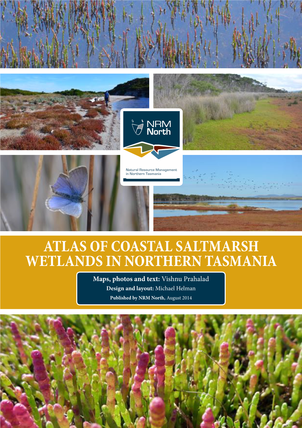 Atlas of Coastal Saltmarsh Wetlands in Northern