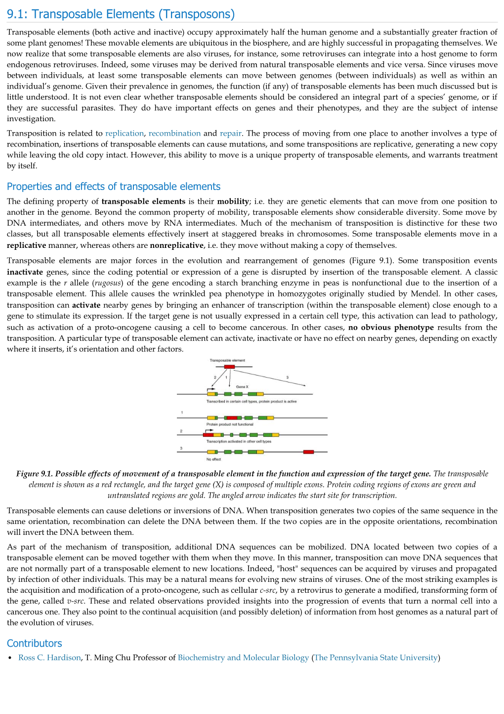 Transposable Elements (Transposons)