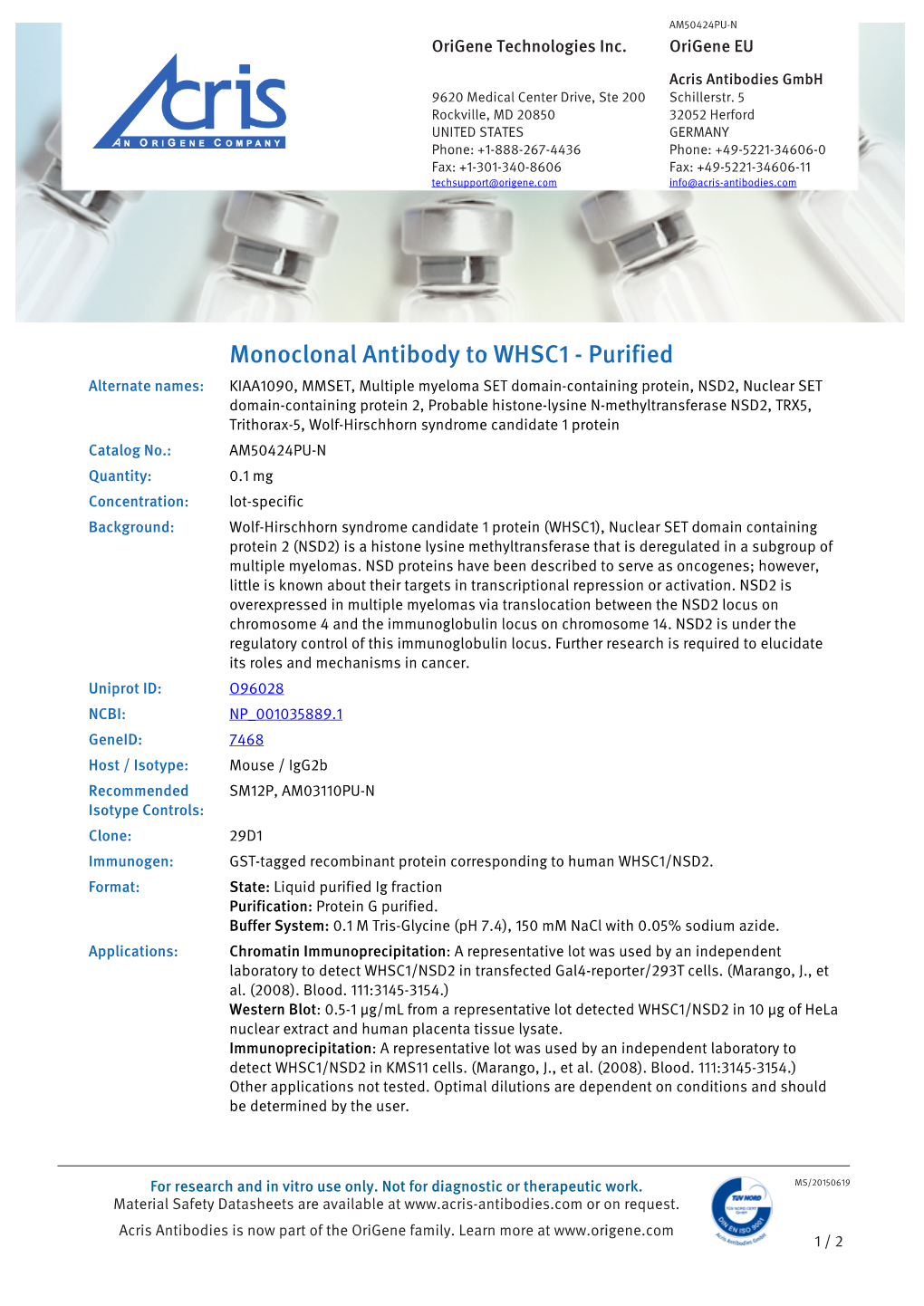 Monoclonal Antibody to WHSC1