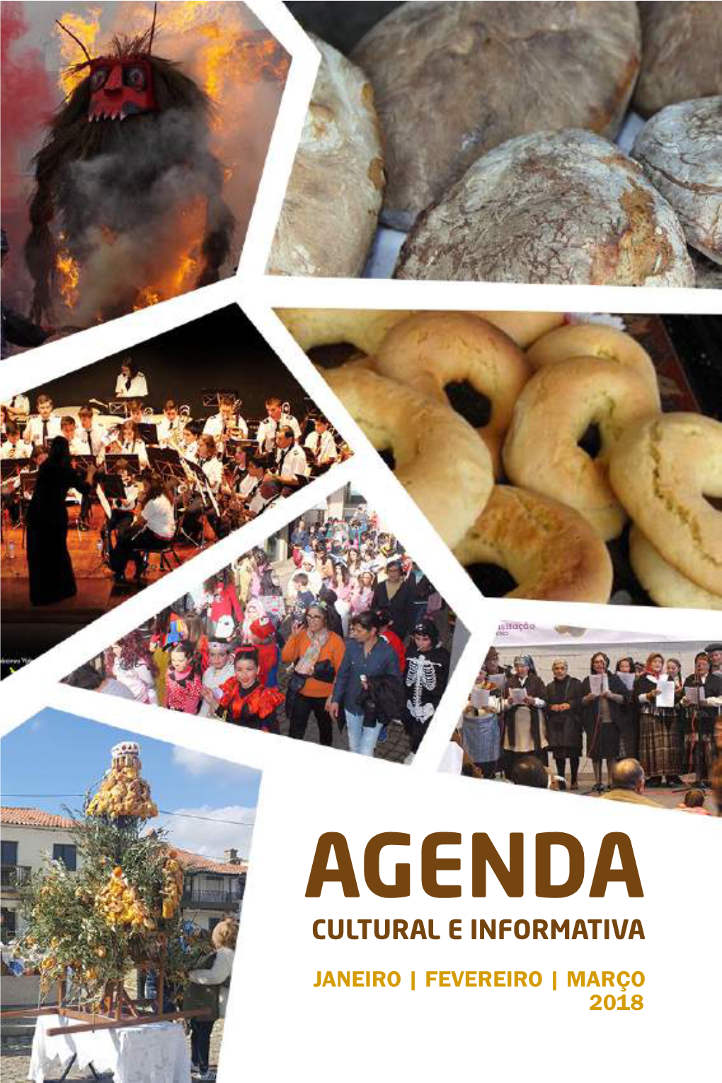 Agenda Cultural E Informativa