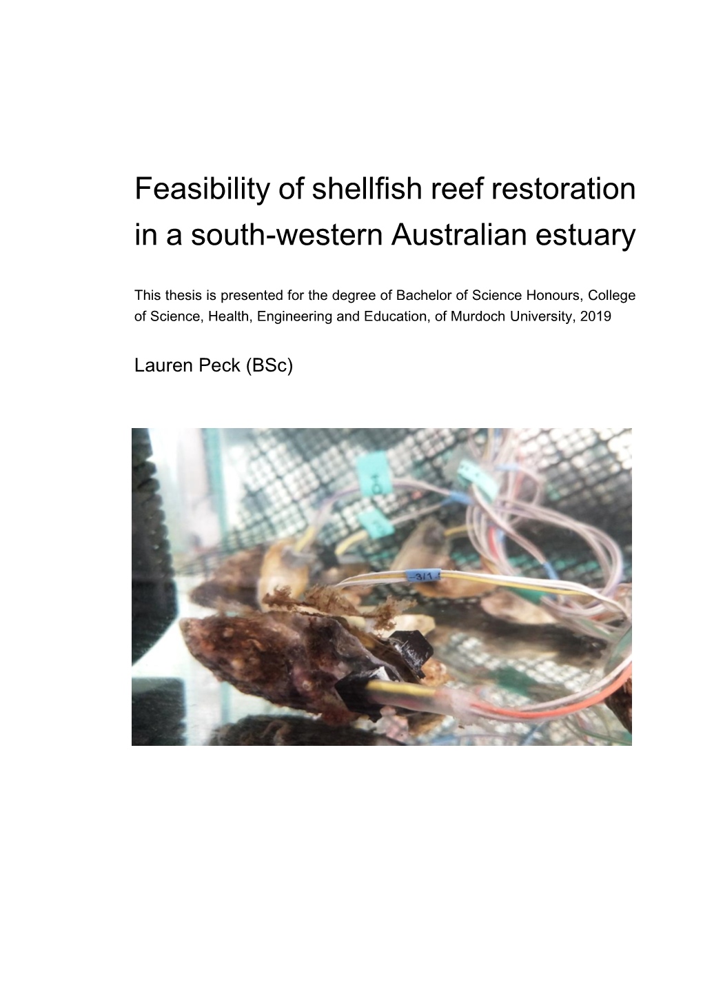 Feasibility of Shellfish Reef Restoration in a South-Western Australian Estuary