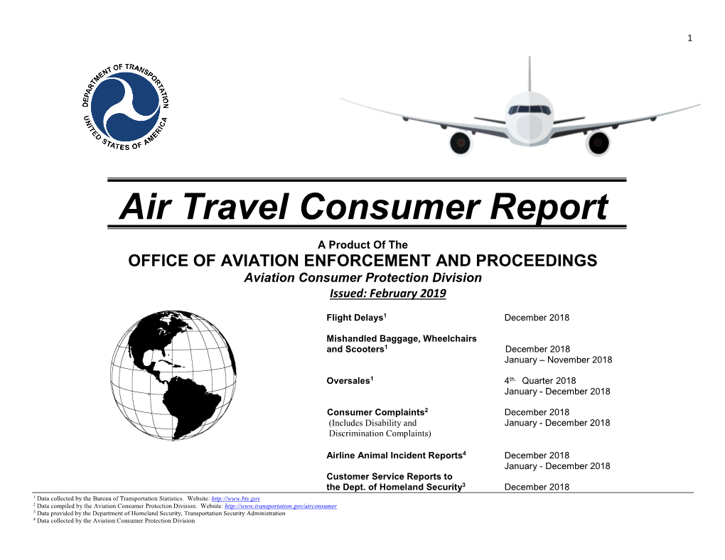 Air Travel Consumer Report